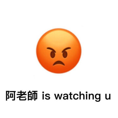 陈信宏