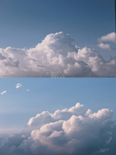 @给我两颗西柚-