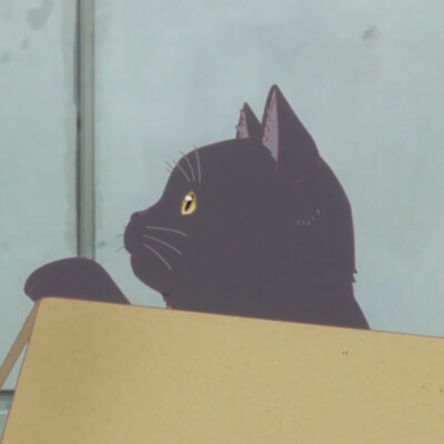 『喵呜』自截
动漫头像 猫头
「她与她的猫」