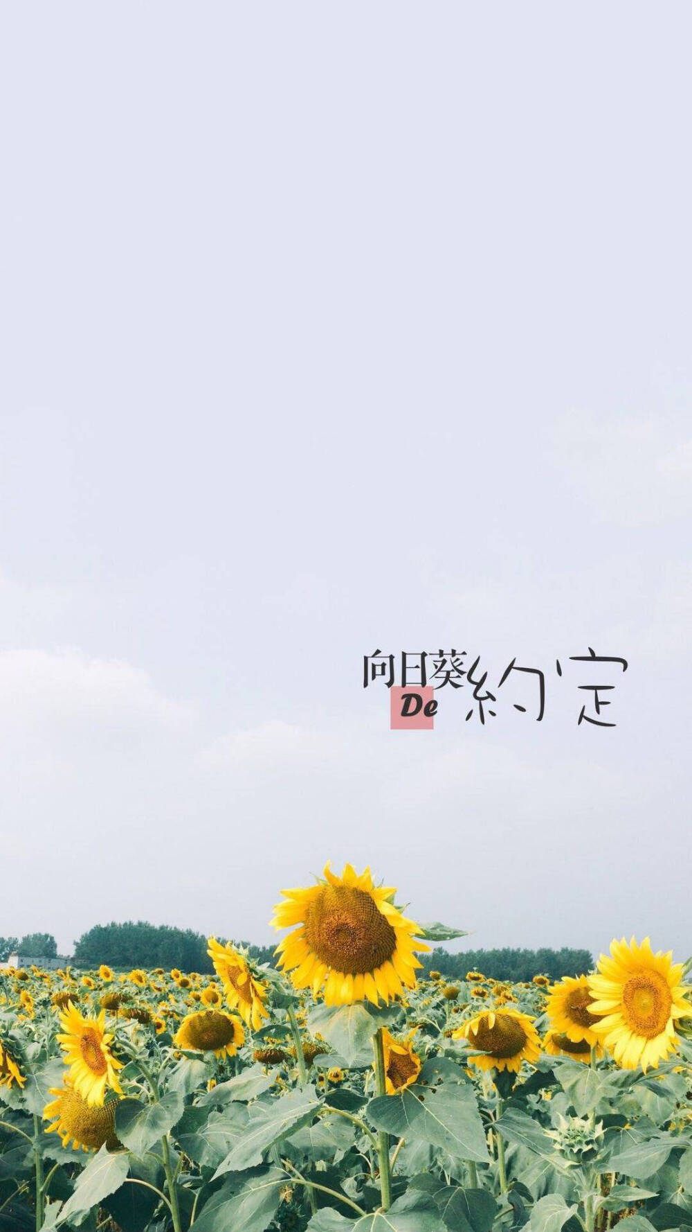 #wallpaper# #壁纸# #锁屏# #背景# #手机壁纸#