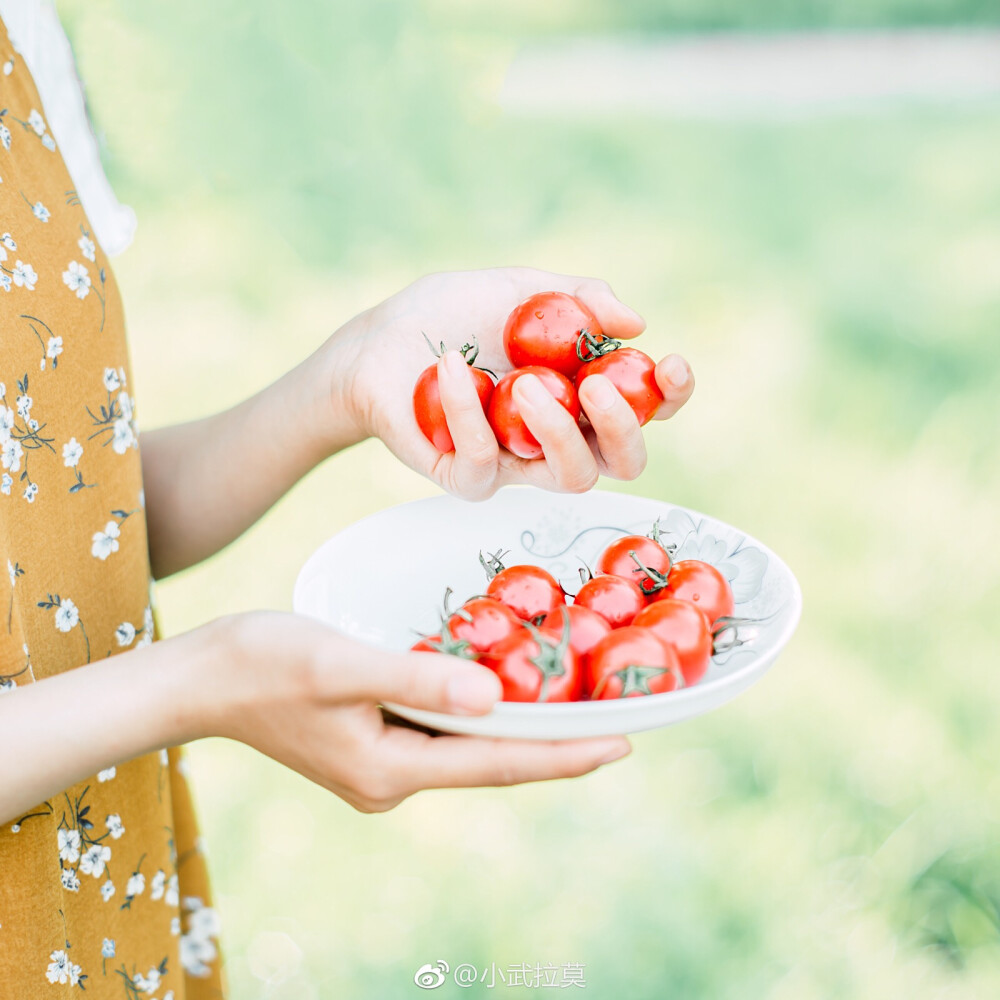 小番茄