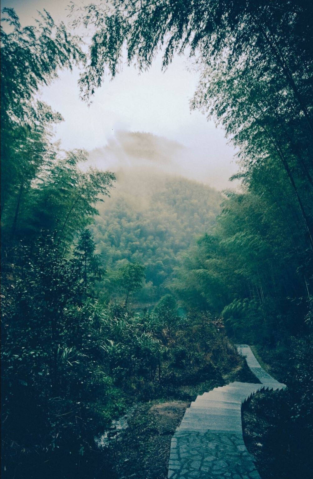 雨湿松阴凉，风落松花细。独鹤爱清幽，飞来不飞去。