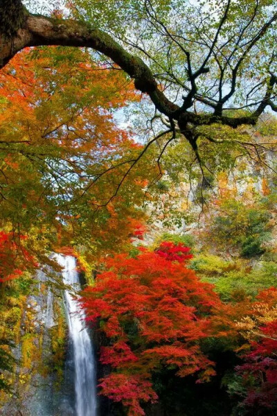 空山新雨后，天气晚来秋。明月松间照，清泉石上流。
竹喧归浣女，莲动下渔舟。随意春芳歇，王孙自可留。
