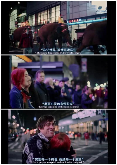 Eternal sunshine of spotless mind
美丽心灵的永恒阳光☀️如果失去记忆，能否再一见钟情