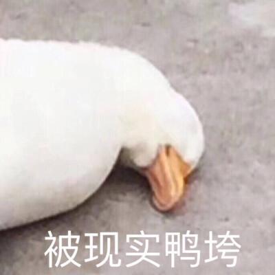 表情标