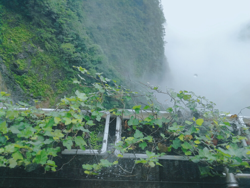 湖南旅游