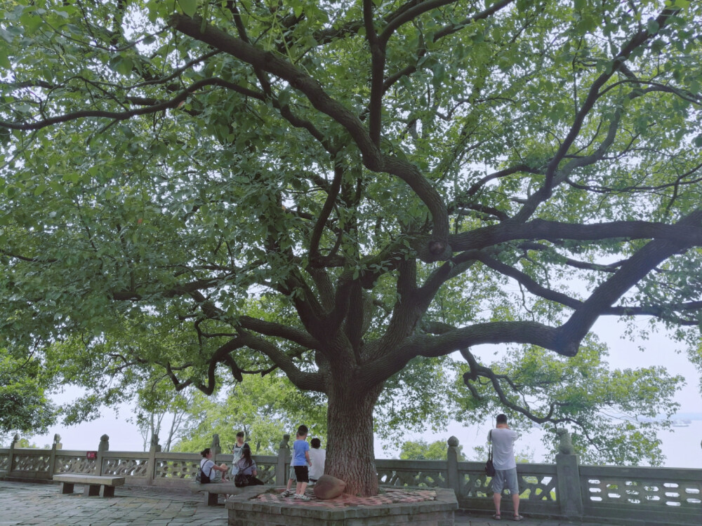 湖南旅游