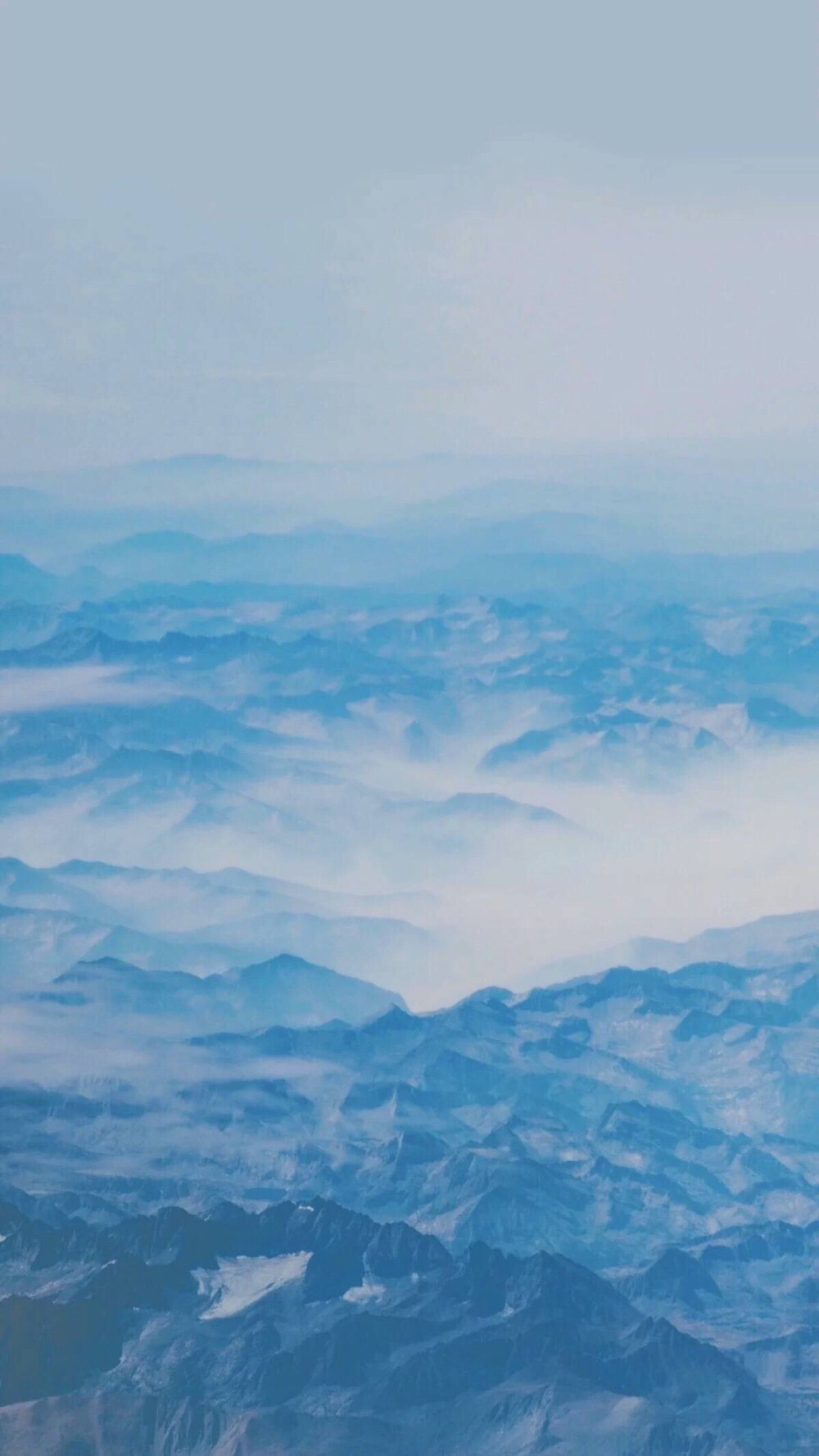 【虎斑收录】高清图 手机壁纸 萌萌哒 清新 壁纸 摄影 ♡人生好像简单到你给个赞我就很开心
