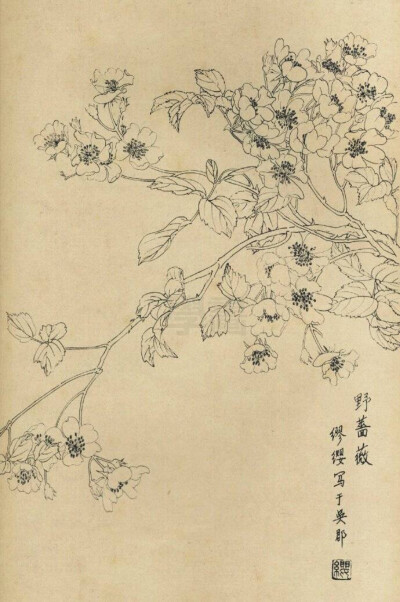 好看，留着用
