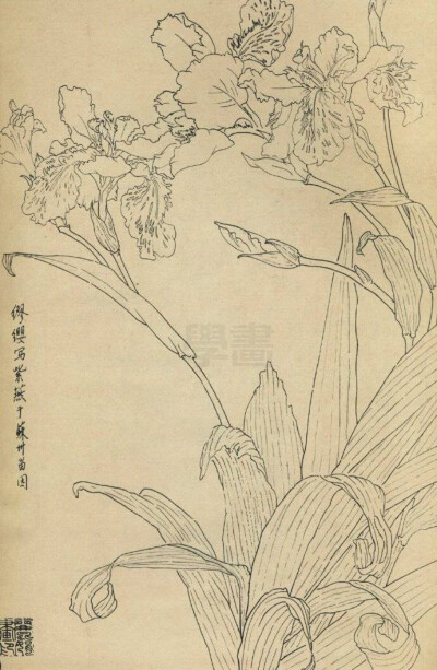 好看，留着用