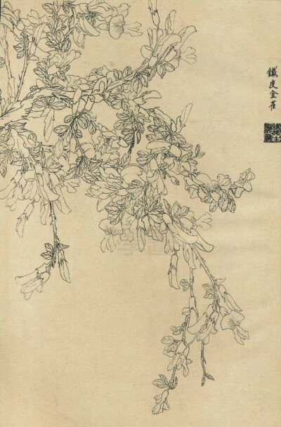 好看，留着用