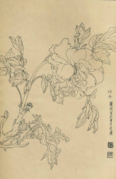 好看，留着用