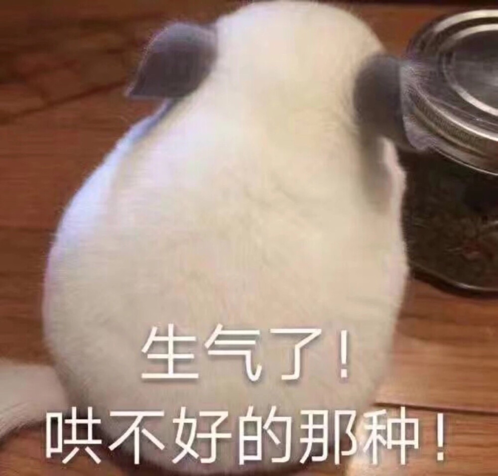 好气哦