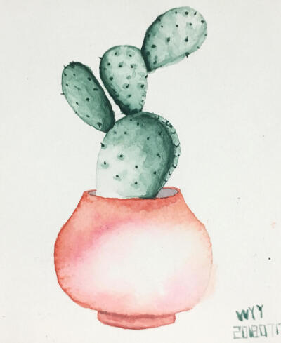 仙人掌和绿植绘画