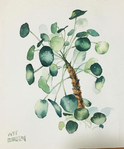 仙人掌和绿植绘画