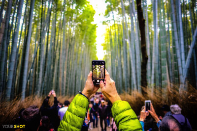 欣赏竹林
日本，京都，一名游客举起手机，为岚山竹林（Arashiyama Bamboo Grove）拍照。这片风景如画的竹林是日本京都游客最多的地方之一。摄影：Dominik Gehl 