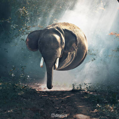 艺术家Aditya Aryanto 球形