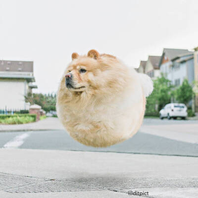 艺术家Aditya Aryanto 球形