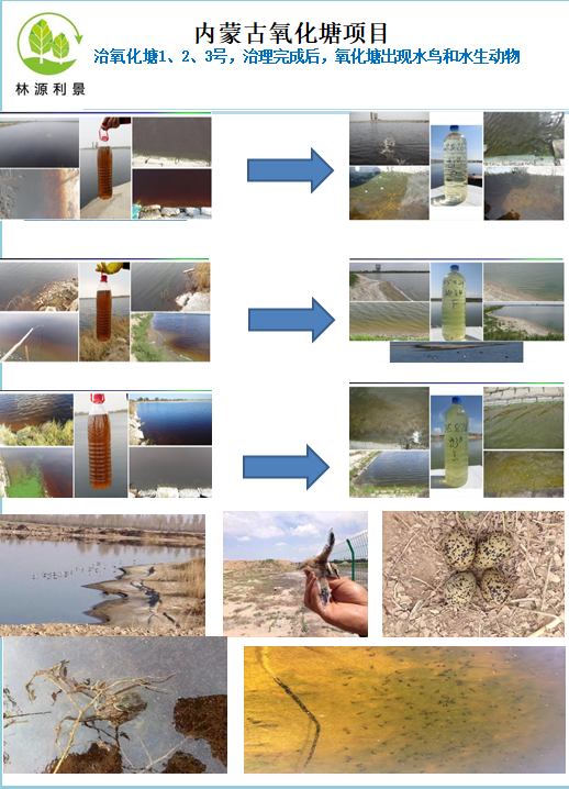 北京林源利景科技发展有限公司微量子反应恒稳污水治理技术。