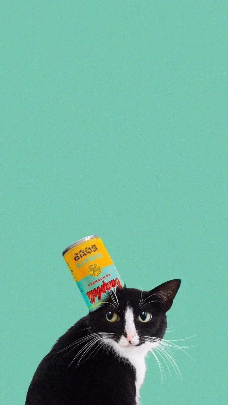 孤独的像条狗
