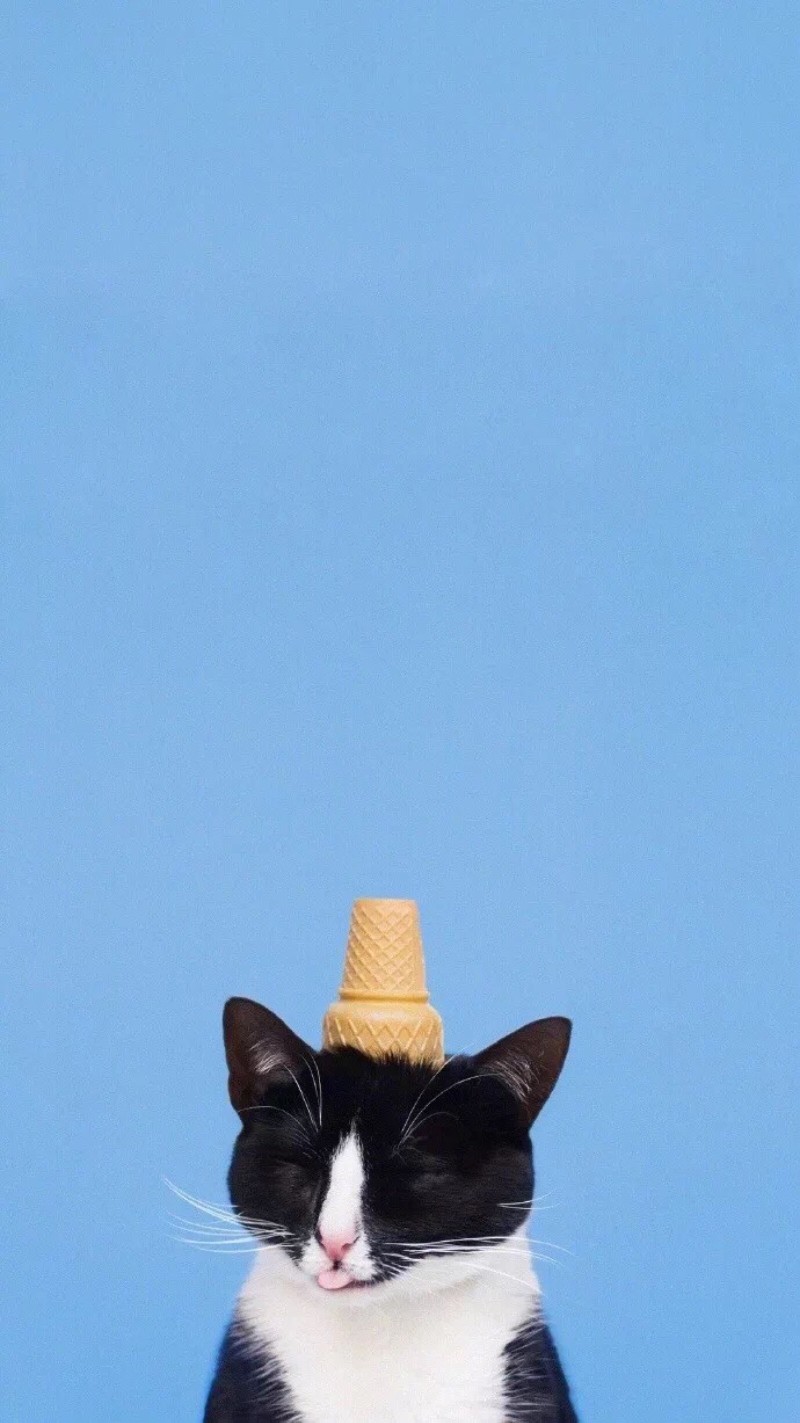 孤独的像条狗