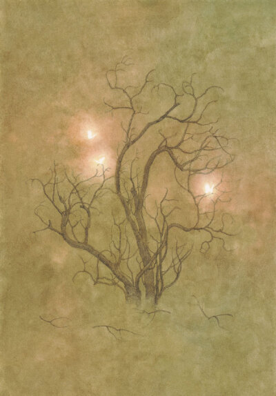 群星垂落 ​​​​