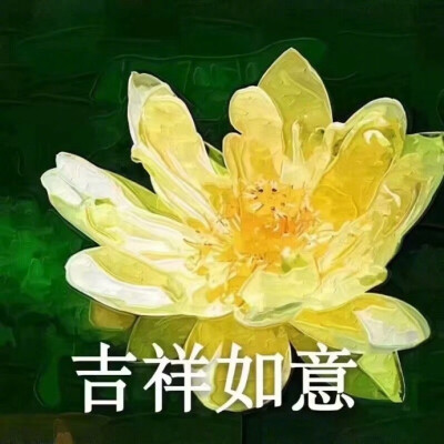 老年人表情包 I 这些花儿送给自己，放松心情，一切随缘 ​​​​