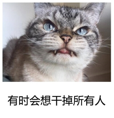 你是一只猫吗？披着人类外壳的猫 ​