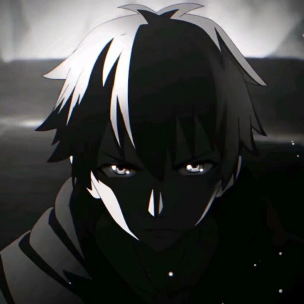 （动漫 男头 黑白）
#jia nan