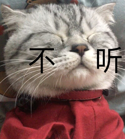 我陛下专属表情包