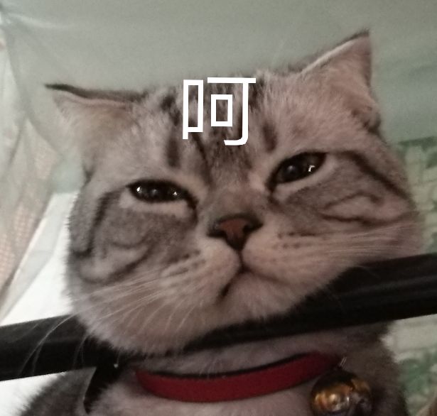 我陛下专属表情包