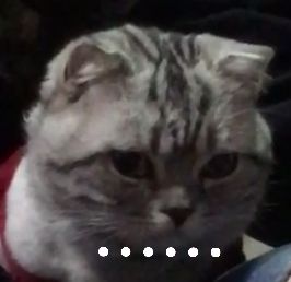 我陛下专属表情包