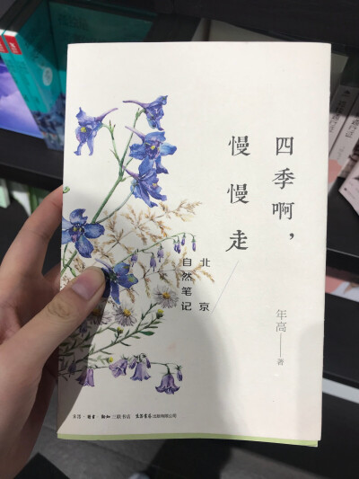 在机场的书店想不到还能看到这么美的书