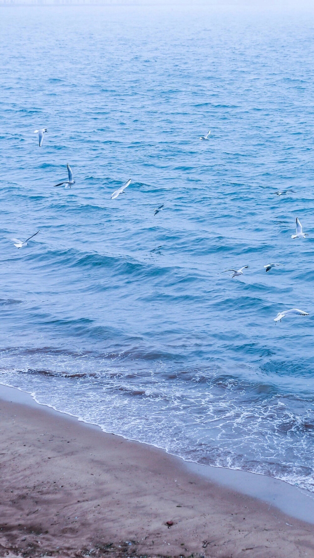 苹果壁纸，大海