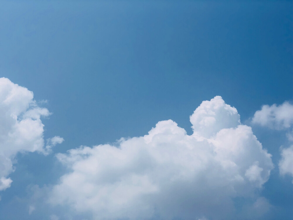 虎斑收录✦胶片 摄影 天空 空色 美景 美图 