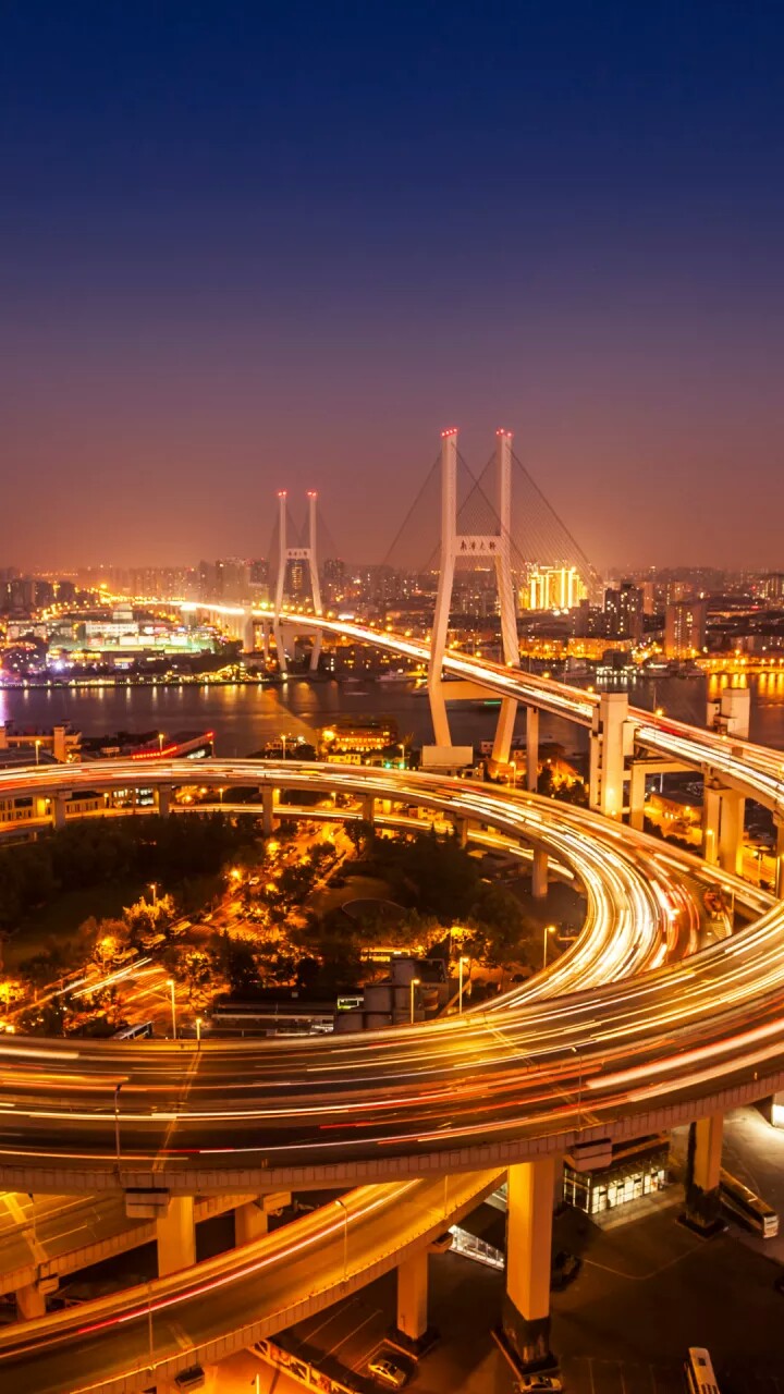 南浦大桥夜景上海