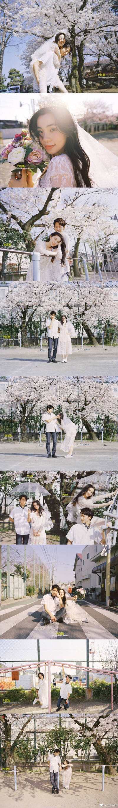 金浩森写真文艺背景