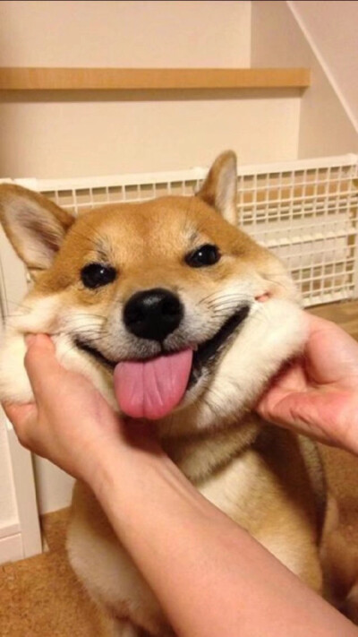 早安 分享一波好看的壁纸～