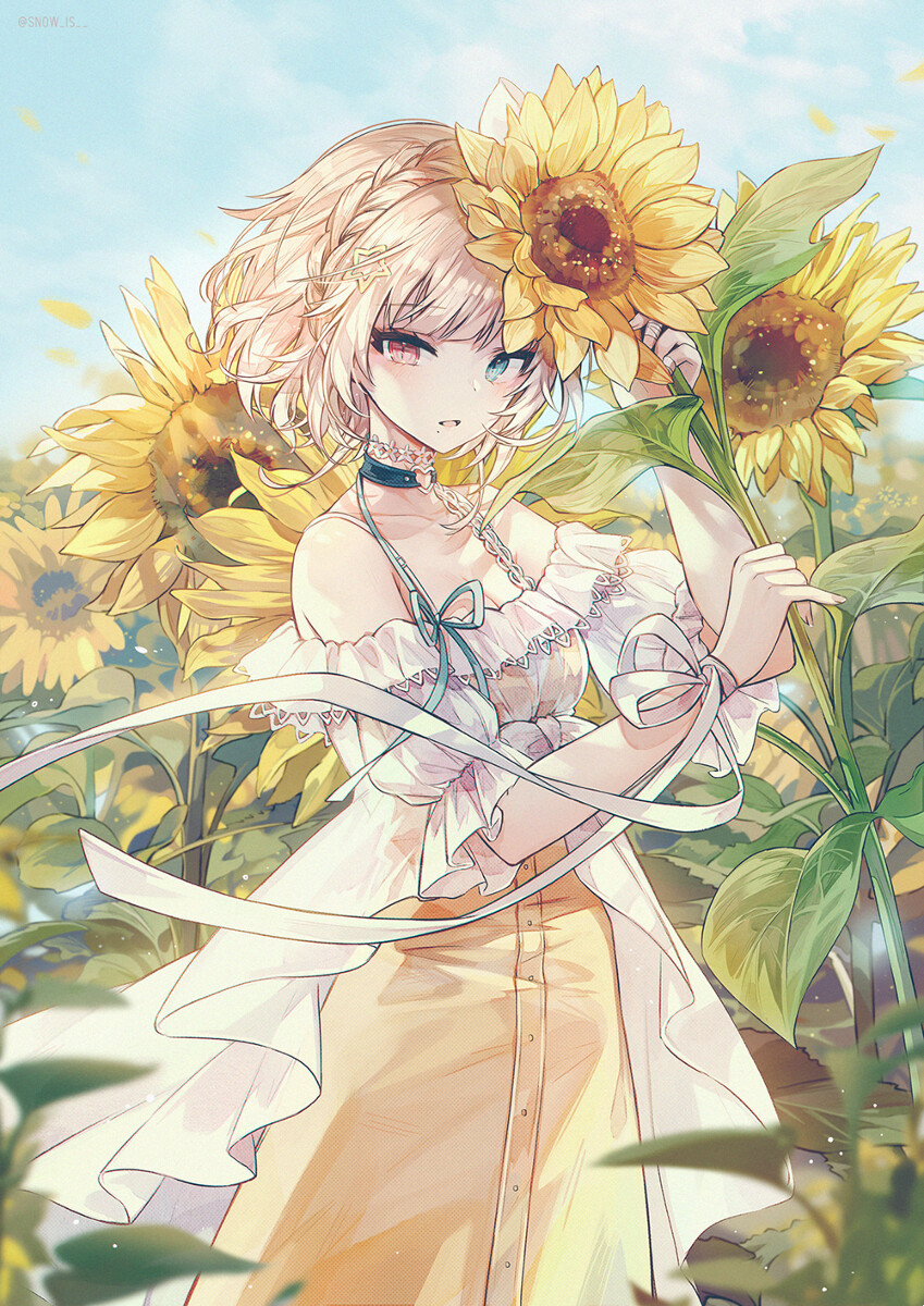 id=70546791