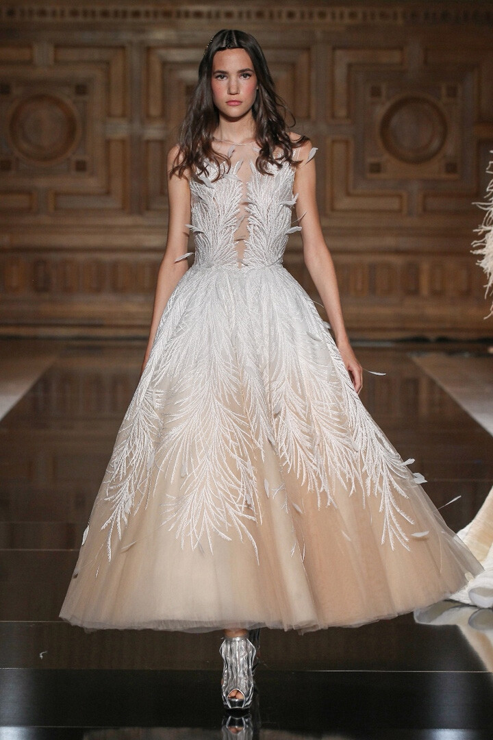 Tony Ward