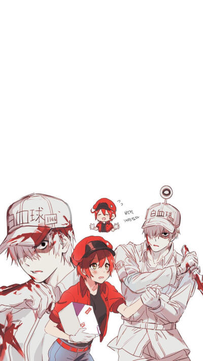 日漫《工作细胞》同人手绘壁纸
白细胞×红细胞