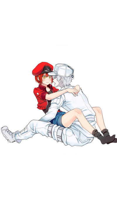 日漫《工作细胞》同人手绘壁纸
白细胞×红细胞