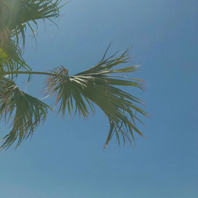 【壁纸】我好中意你