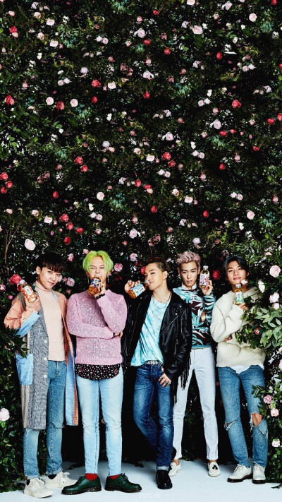 Bigbang 壁纸 权志龙 top