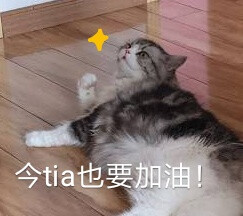 昭昭表情包可爱猫猫