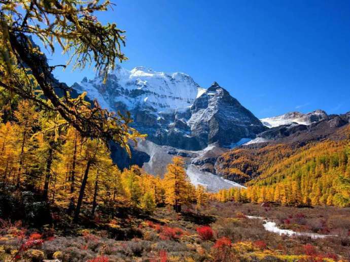 秋季美景在四川，看着川西绝美秋景，怎么也忍不住要去的欲望了。 ​​​​