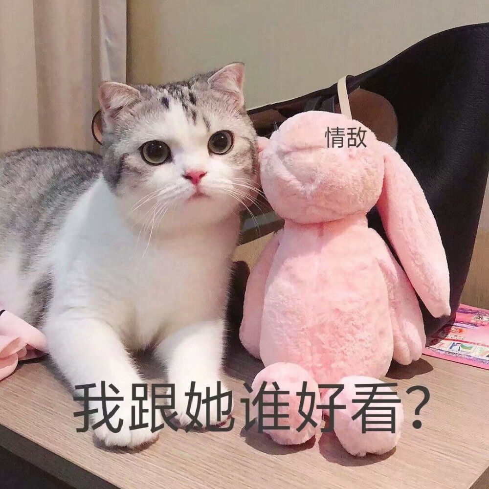 搞笑图片 - 高清图片，堆糖，美图壁纸兴趣社区