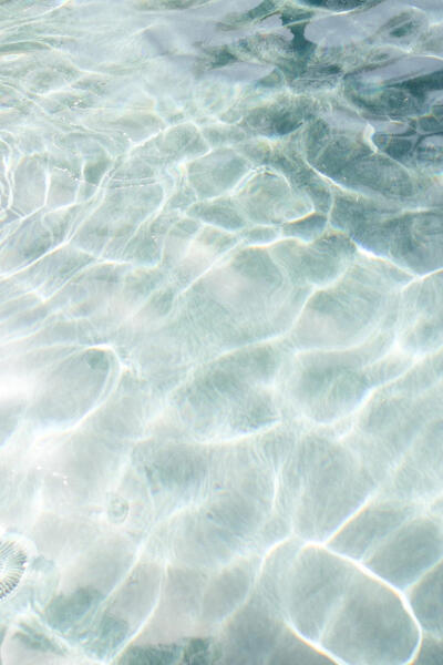 Summer Vibes