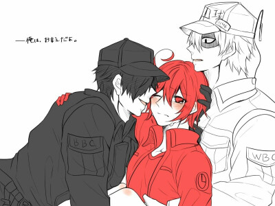 工作细胞-黑血球 红细胞 白细胞