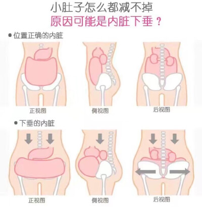 减小肚子 减肥 瘦